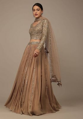 Brown Sequine Embroidered Work Silk Lehenga Choli